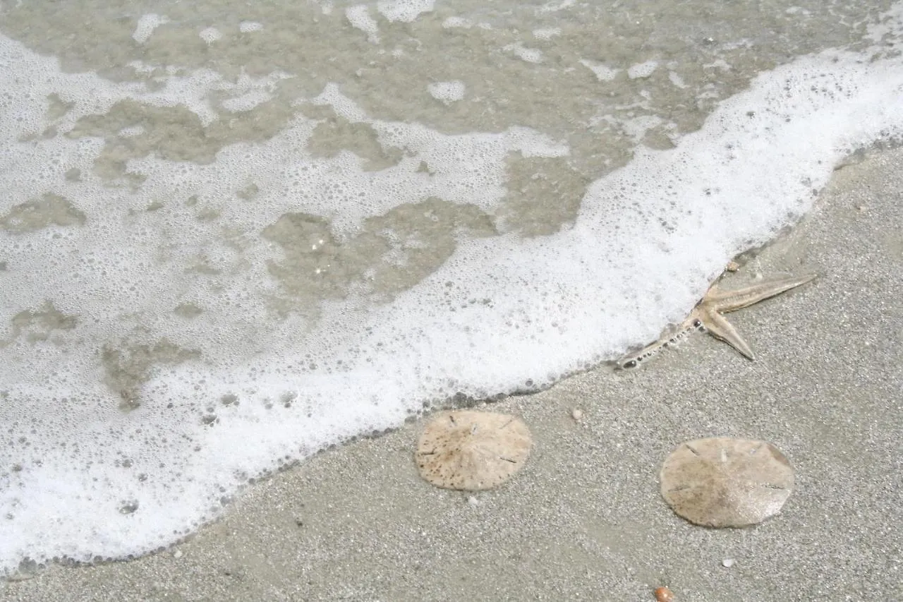 Colonnade Club 196 Villa Hilton Head Island United States